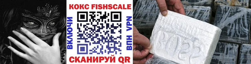 Cocaine FishScale  Купить где  Болхов 