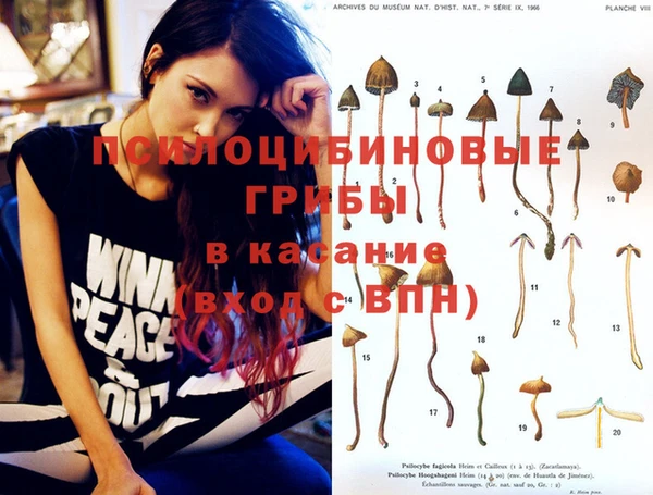 дурь Кодинск