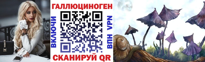 Купить закладки  Болхов  Галлюциногенные грибы GOLDEN TEACHER 